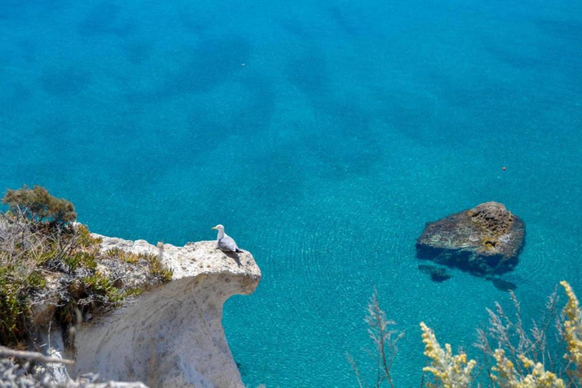 Maridea - Cave Apartments Ponza Luaran gambar